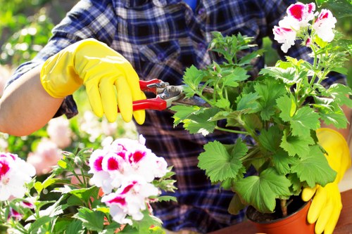 Landscaping in Childs Hill with a neat garden design