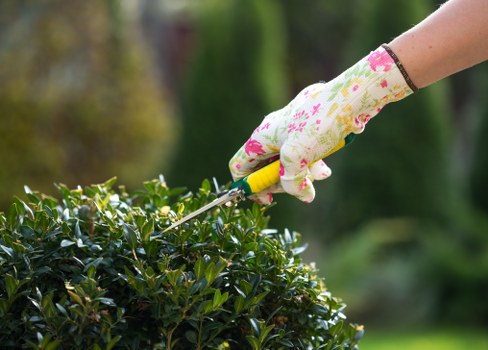 Garden waste being sorted for recycling in Childs Hill