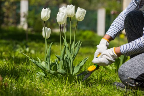 Gardeners in Childs Hill maintaining a neat London garden