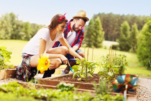 Professional lawn maintenance for shaded Childs Hill gardens