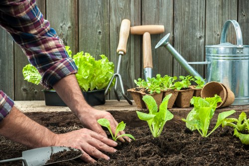 Gardening services in Childs Hill for a tidy residential garden