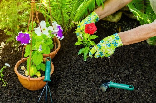 Accessible gardening support information for Gardeners Childs Hill