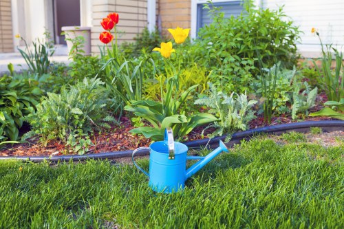 Seasonal garden maintenance work in Childs Hill with shrubs and hedges