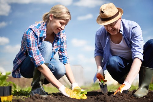 Professional tree surgeon managing mature trees in Childs Hill