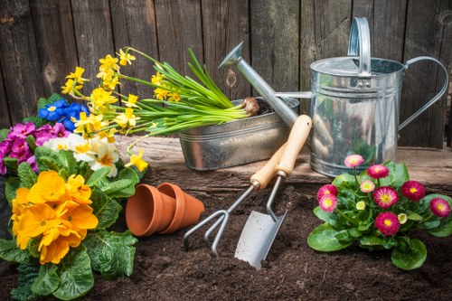 Keyboard navigation and inclusive browsing for accessible gardeners