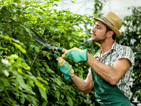 Seasonal outdoor maintenance and planting services in Childs Hill