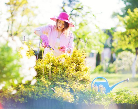 Professional hedge trimming along a residential boundary in Childs Hill