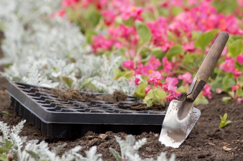 Professional patio cleaning for paved outdoor surfaces in Childs Hill