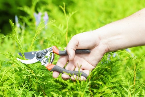 PPE used by a Gardener Childs Hill on a maintenance job