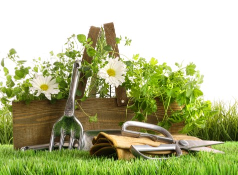 Resolving a gardeners complaint with corrective action
