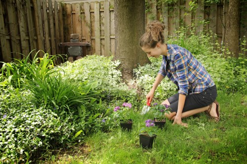 Local garden service in Childs Hill focused on healthy outdoor spaces