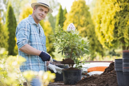 Childs Hill gardening work improving local plant borders