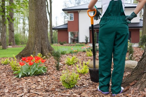 Seasonal lawn mowing work in Childs Hill
