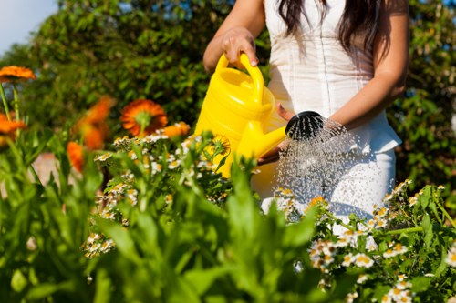 Childs Hill garden landscaping with structured planting and patio features