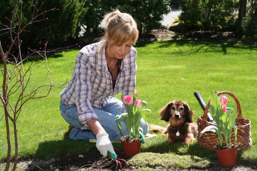 Garden layout planning for landscape gardening in Childs Hill