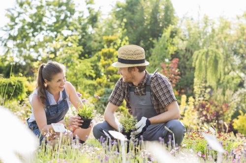 Seasonal planting and garden design for Childs Hill homes