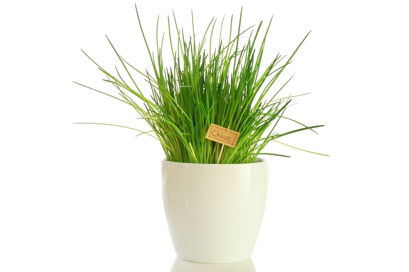 Lawn care garden maintenance