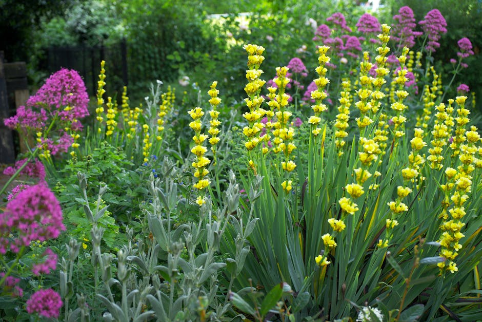 A small, well-maintained garden in Childs Hill with a paved brick pathway leading to a decorative iron bench positioned against a white exterior wall of a house. The garden features neatly trimmed box